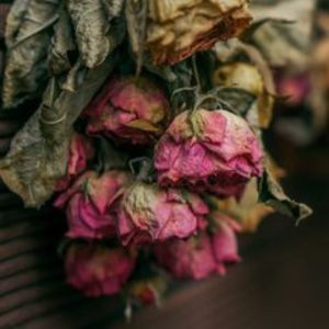 Ein Strauß getrockneter roter Rosen